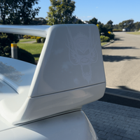 Dragon Head Spine Decal