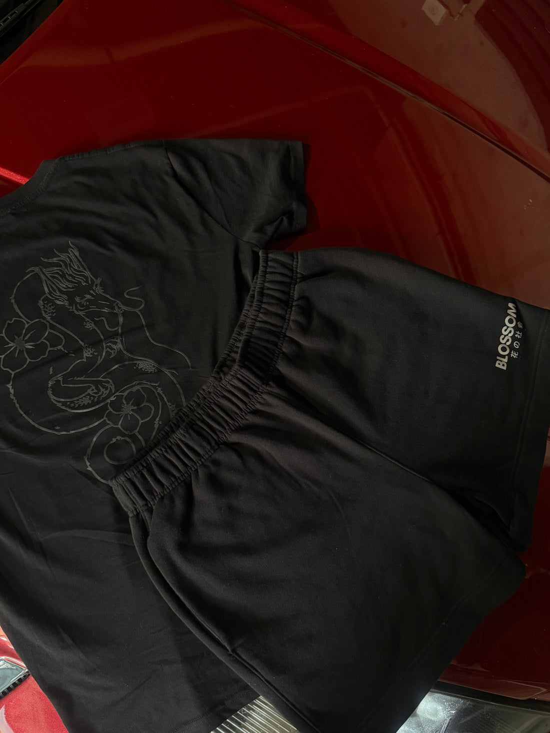 BLVCK Dragon Reflective T Shirt