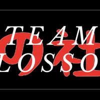 TEAM BLOSSOM Nobori Flag