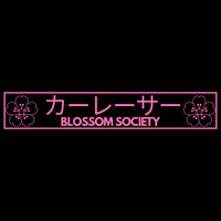 BLOSSOM SOCIETY Pink “Car Racer” Spine Decal V2